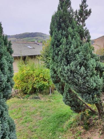 Belle maison de Type T4 , Saint-forgeux