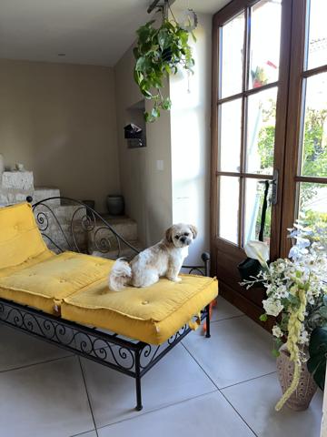 Mauvezin (32120) Maison en pierre 110 m² - 3 chambres - Jardin- Vue Pyrénées