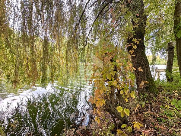 Maison 82 m2 - 2 chambres