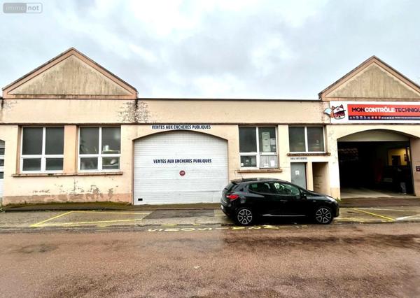 Local d'activité à vendre à Langres en Haute-Marne (52200), ref : SGML115905