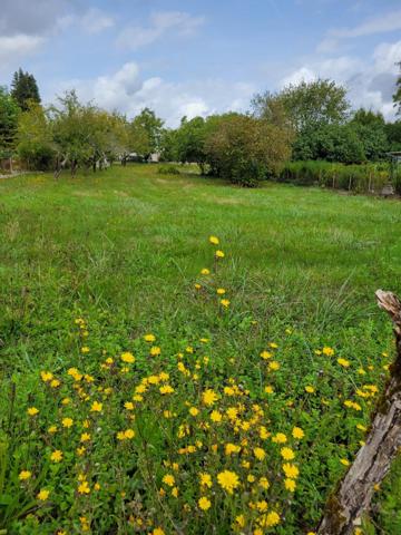 Terrain à bâtir plein centre Saint Aulaye