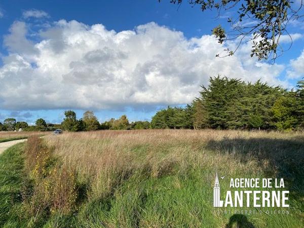 ST-PIERRE D'OLERON - TERRAIN A BATIR 4641 m²