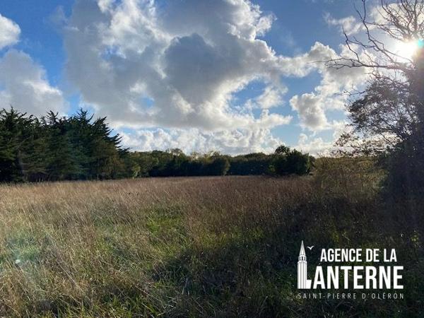 ST-PIERRE D'OLERON - TERRAIN A BATIR 4641 m²