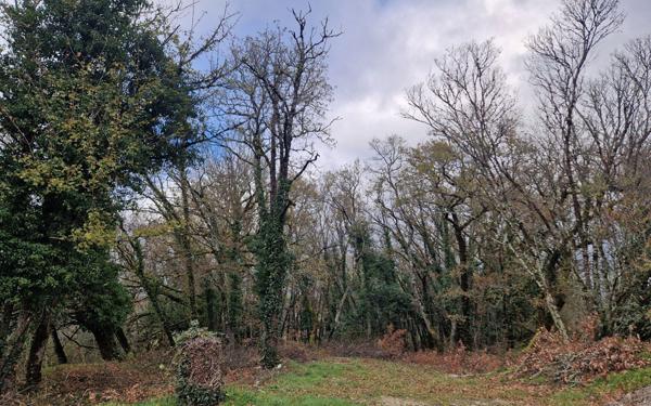 Terrain à vendre    Chasteaux