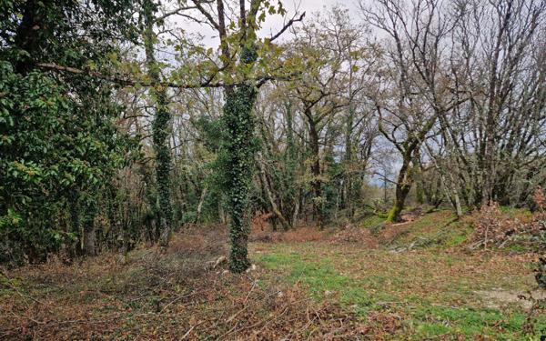 Terrain à vendre    Chasteaux