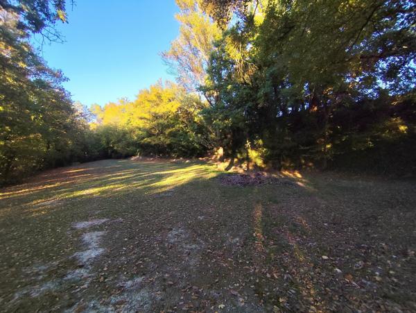 Terre agricole plus de  21 hectares