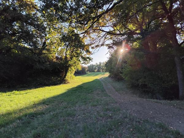 Terre agricole plus de  21 hectares