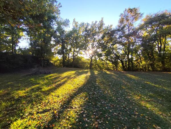 Terre agricole plus de  21 hectares