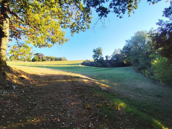 Terre agricole plus de  21 hectares