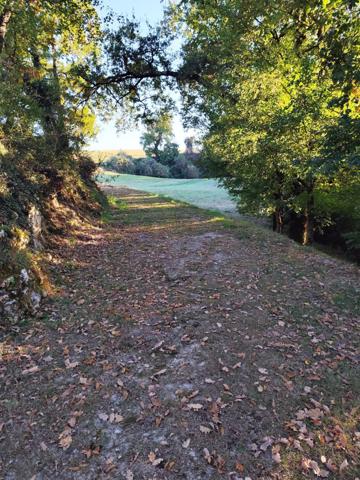 Terre agricole plus de  21 hectares