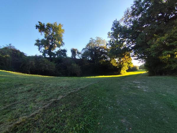 Terre agricole plus de  21 hectares