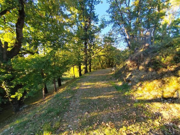 Terre agricole plus de  21 hectares