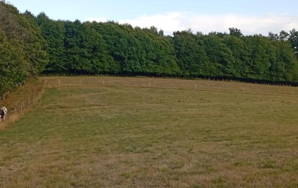 Vente Terrain La geneytouse   