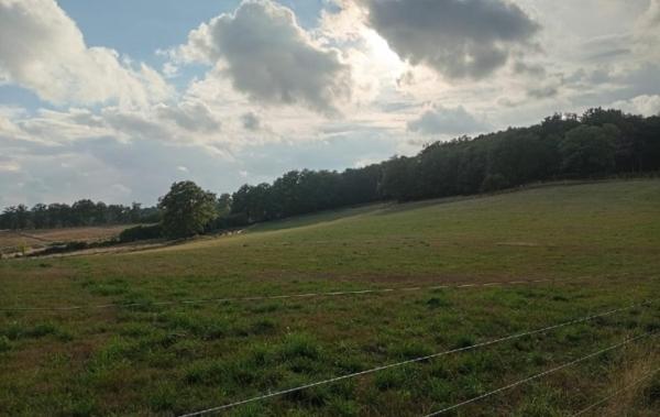 Vente Terrain La geneytouse   