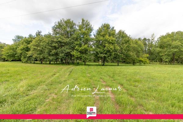 Maison Pruniers En Sologne 6 pièce(s) 146 m2