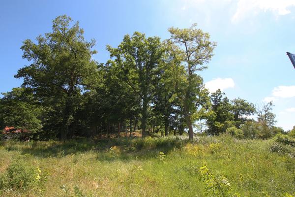 Terrain - 861 m² Exclusivité efficity