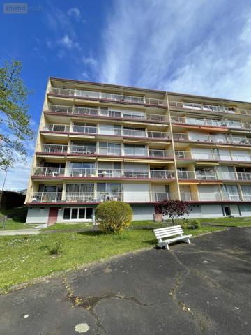 Appartement à vendre à Le Mans dans la Sarthe (72000), ref : 72009-1378 Centre