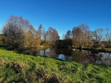 Étang à vendre à Pleine-Fougères en Ille-et-Vilaine (35610), ref : 100/1497