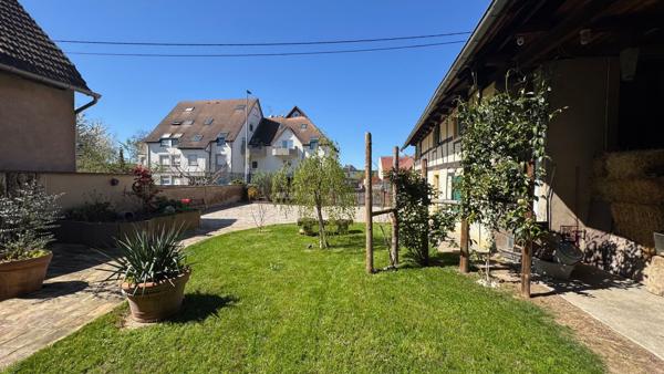 Ensemble immobilier à vendre à La Wantzenau La wantzenau Ensemble immobilier à vendre à La Wantzenau La wantzenau