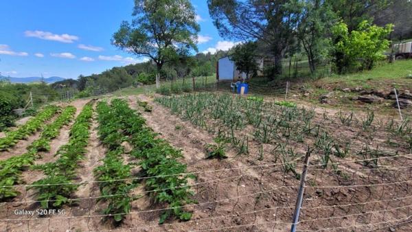 Vente / Maison et grand terrain