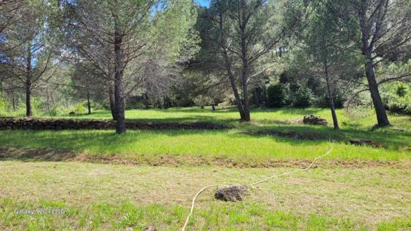 Vente / Maison et grand terrain