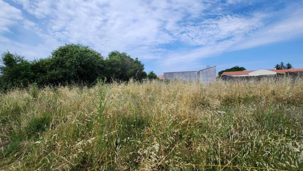 Sainte-Gemme-la-Plaine (85400) Terrain viabilisé au calme au fond d'une impasse