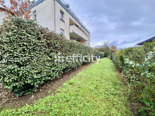 Appartement 2 pièces - 52 m² Exclusivité efficity