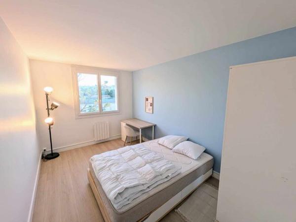 Colocation de 3 chambres