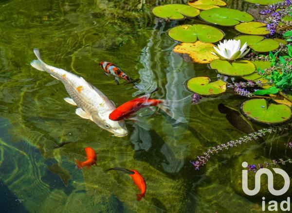 Maison à vendre 18 pièces 680 m² Châteauneuf-du-Pape