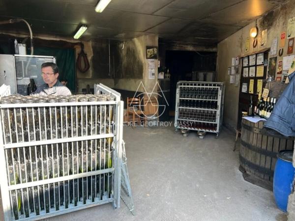 Rare opportunité… Vignoble en appellation Vouvray de 20 ha.