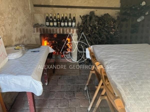 Rare opportunité… Vignoble en appellation Vouvray de 20 ha.