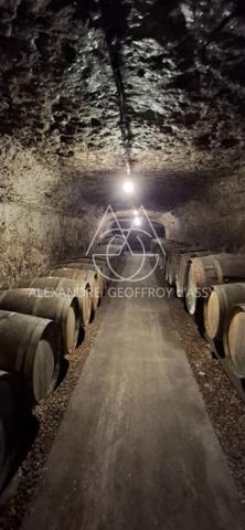 Rare opportunité… Vignoble en appellation Vouvray de 20 ha.