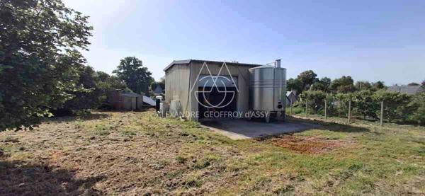 Rare opportunité… Vignoble en appellation Vouvray de 20 ha.