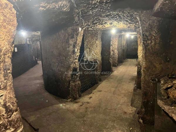 Rare opportunité… Vignoble en appellation Vouvray de 20 ha.