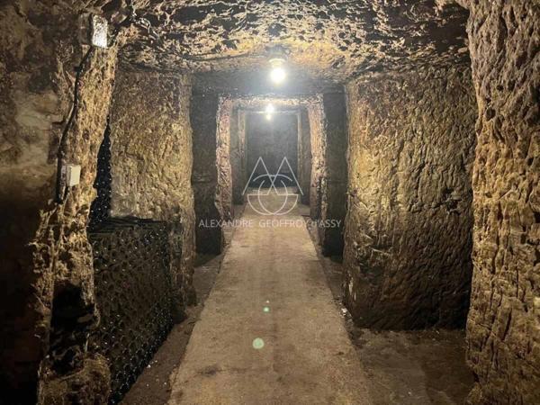 Rare opportunité… Vignoble en appellation Vouvray de 20 ha.