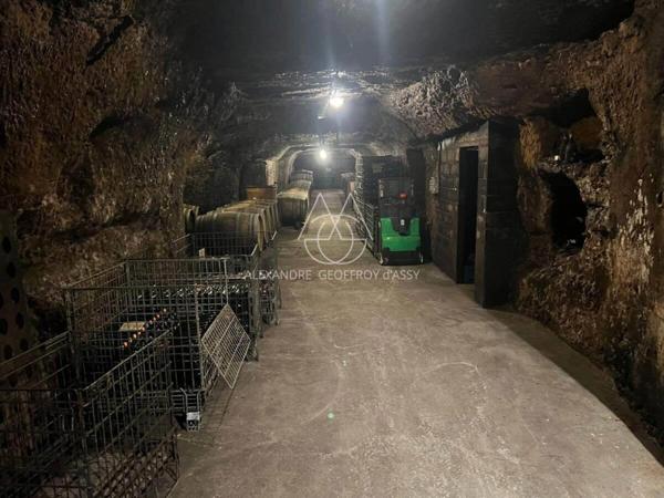 Rare opportunité… Vignoble en appellation Vouvray de 20 ha.