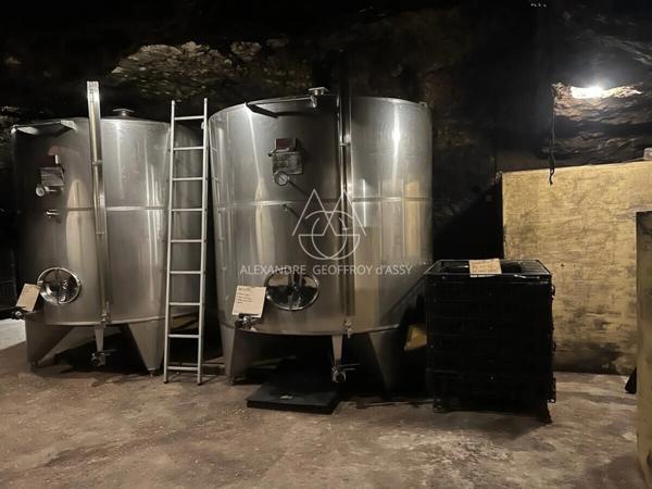 Rare opportunité… Vignoble en appellation Vouvray de 20 ha.