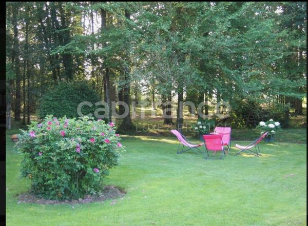 Propriete à SAINT BRANCHS 30 minutes de Tours