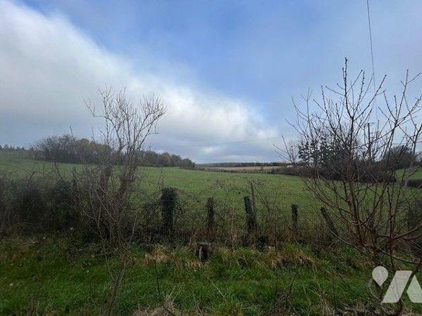 MAISON A VENDRE BAUGE EN ANJOU
MANDAT EXCLUSIF
5 Minutes BAUGE.
Ravissante maison ancienne s...