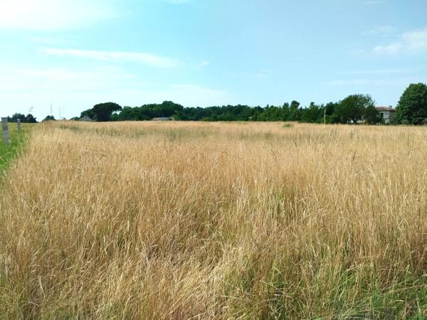 Terrain à MERIGNAC (17210)