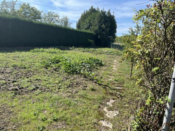 Appartement à vendre à Allériot en Saône-et-Loire (71380), ref : 01067-918