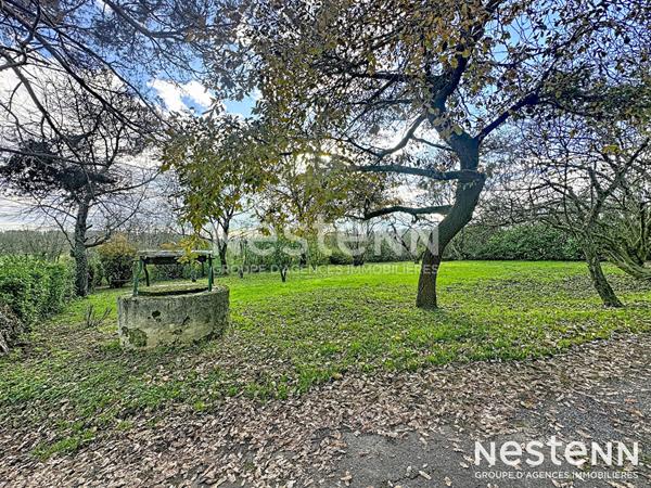 A vendre Maison Mirande de 398m2 habitable parc arboré de 1,7 hectare