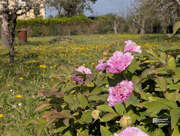 Maison Bergerac 7 pièce(s) 125 m2