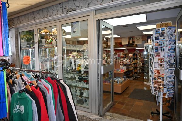 À la vente, sur la commune de Bagnères-de-Luchon, 
ce local commercial de 64m² en rez-de-chaussée, 
composé comme suit:

Un magasin en deux salles attenantes, surface totale de 45m²
Une réserve avec toilettes de 19m²
Une extension sur le trottoir de 24m², en location à la mairie de 250 €/an.

Ce local est idéalement situé au bout de l'allée d'ÉTIGNY.
Un lieu de passage extrêmement fréquenté par les curistes qui vont aux thermes 
et les touristes qui vont flâner au parc et au lac des Quinconces.

Grâce à son implantation sur cette avenue très fréquentée, les revenus sont très satisfaisants.
Seule condition à l'achat de ce local commercial : 
ne pas exercer d'activité de restauration, de bar ou de salon de thé.
Compter en plus de l'achat du local un loyer de 830€/mois, 
plus 250€/an de taxes copropriété.

Situé dans une ville très connue, très touristique, aux nombreuses activités sportives : 
l'été, car entourée de montagnes, 
l'hiver, grâce à ces stations de ski toutes proches, 
et son établissement thermal dont la réputation n'est plus à faire.

Une ville qui se modernise pour accueillir encore plus de touristes et de curistes.
Rénovation et agrandissement des thermes, ouverture d'un nouveau centre de balnéo.
Mise en service d'une nouvelle télécabine pour accéder à la station de ski de Superbagnères, 
et réaménagement de la ligne de chemin de fer Toulouse-Bagnères-de-Luchon.
Une opportunité qui peut intéresser des personnes qui veulent ouvrir un commerce et développer une activité dans cette région attractive.

Honoraires à la charge de l'acquéreur.

Pour tout renseignement complémentaire, n'hésitez pas à me contacter au : 06 84 99 58 48.

Cette annonce immobilière a été rédigée par l'agent commercial Pierre SICCARD immatriculé au RSAC de Toulouse sous le numéro 917 986 242 et titulaire de la carte de démarchage immobilier, pour le compte de la société BSK immobilier.