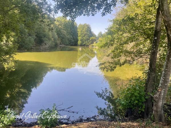 Étang à vendre