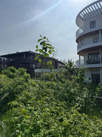 Appartement neuf 3 chambres  Le Vésinet (78)