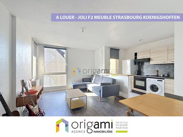Appartement Strasbourg 2 pièce(s) 45.47 m2 Strasbourg Appartement Strasbourg 2 pièce(s) 45.47 m2 Strasbourg