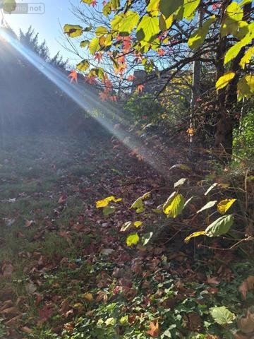 Maison à vendre à Le Mans dans la Sarthe (72000), ref : 72006-677