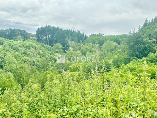 Achat maison près de LA TOUR DU PIN - 7 pièce(s) - 180 m² - 357 000 €