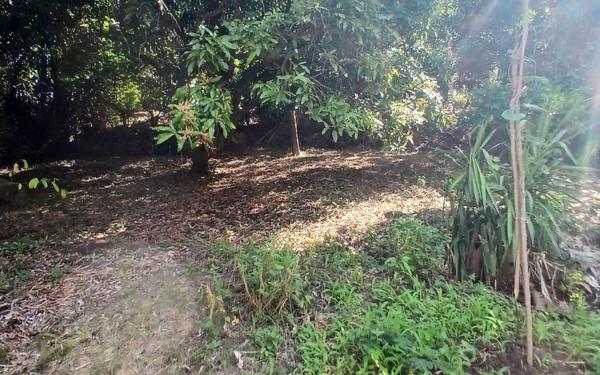 Maison à vendre    3 pièces •  Le Robert